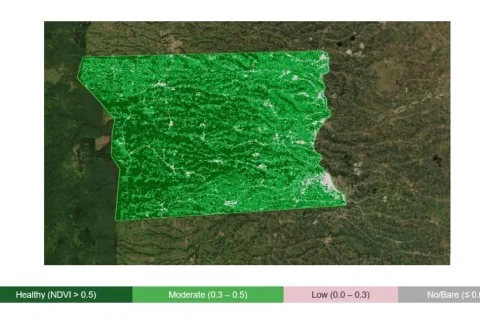 Crop monitoring and intelligence